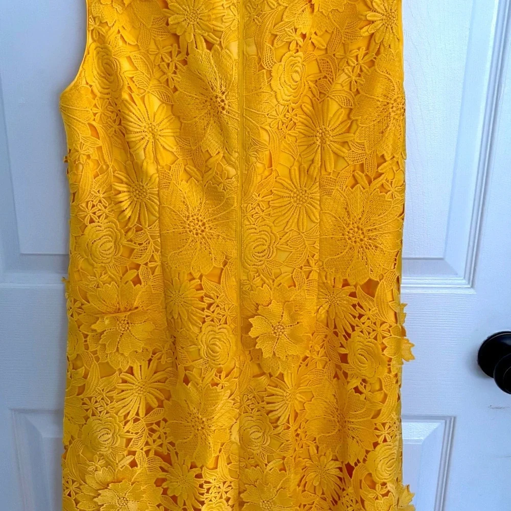 NWT WHBM Lace shift dress 6 Spring Easter Parade Lace Boho HAPPY Chic Bohemian - Picture 8 of 10